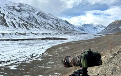 Snow Leopard Photography Guide in India