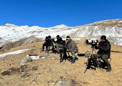 Snow Leopard Landscape with Photographers