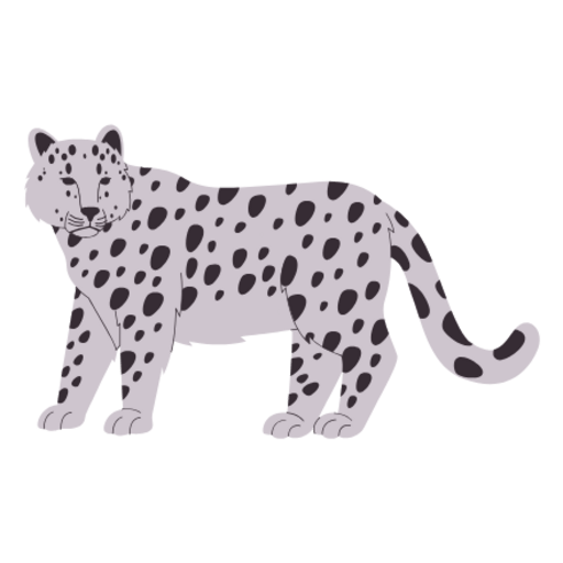 Snow Leopards India